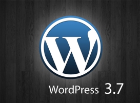 wordpress-37